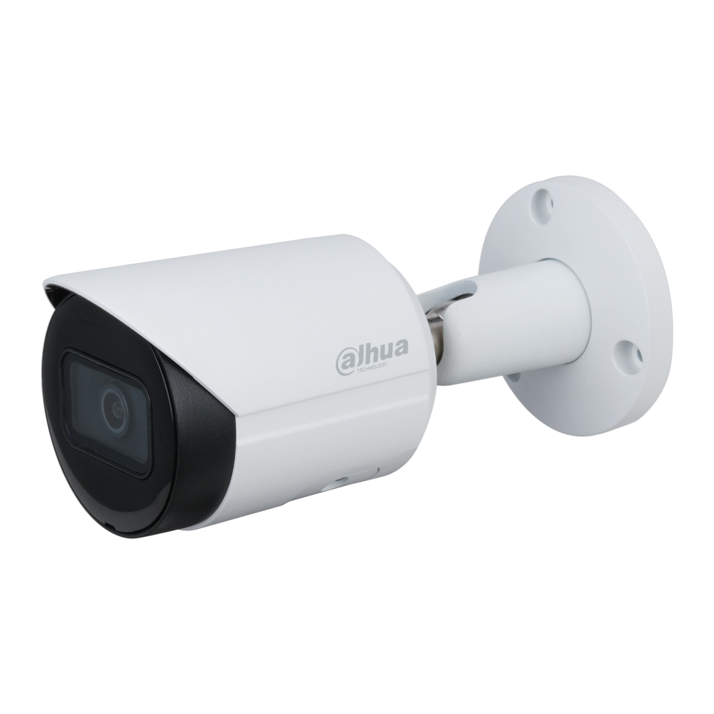 Tubular IP H265 2M WDR Starlight IR30m 3.6mm IP67 PoE MIC AI