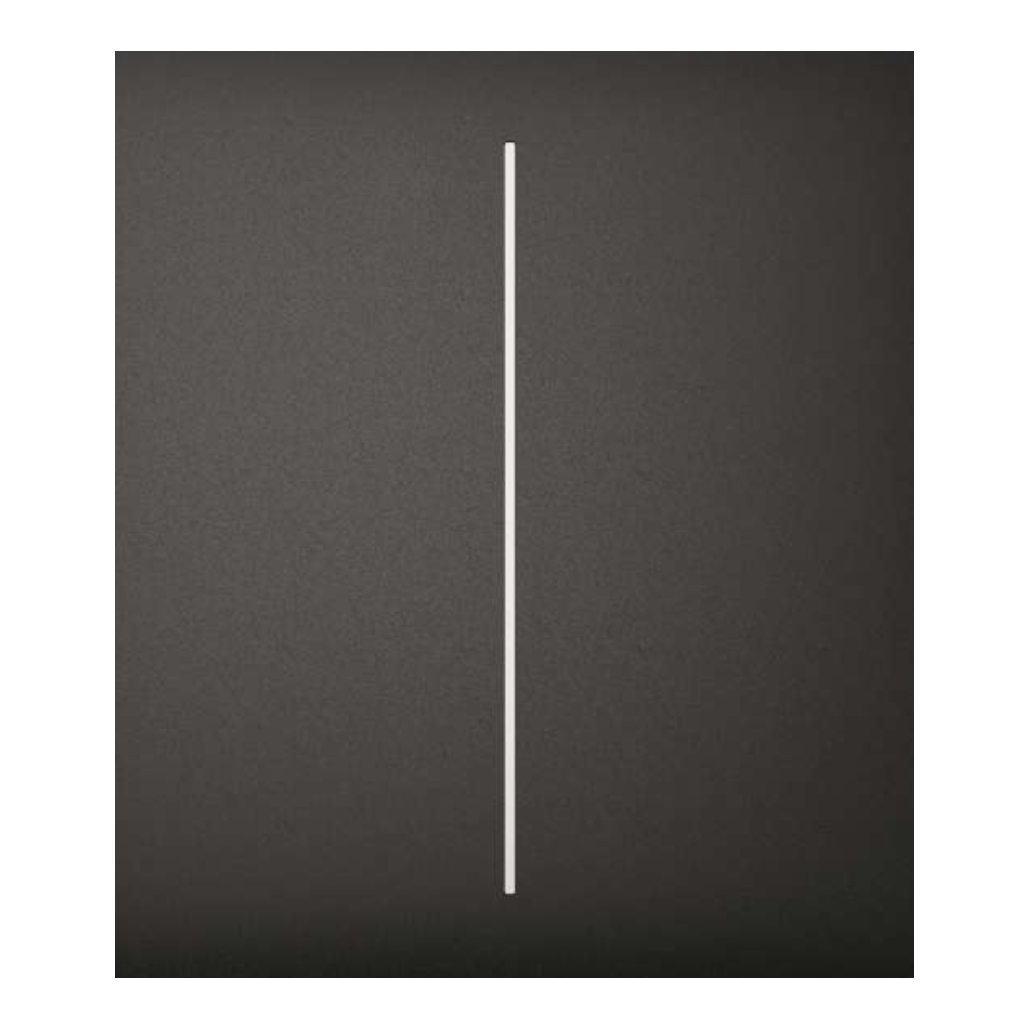 Ajax LightSwitch CenterButton 2-gang. Plusador Central Doble. Color Negro